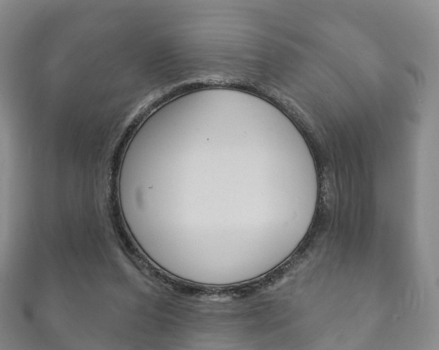 X0000111930208200907271037