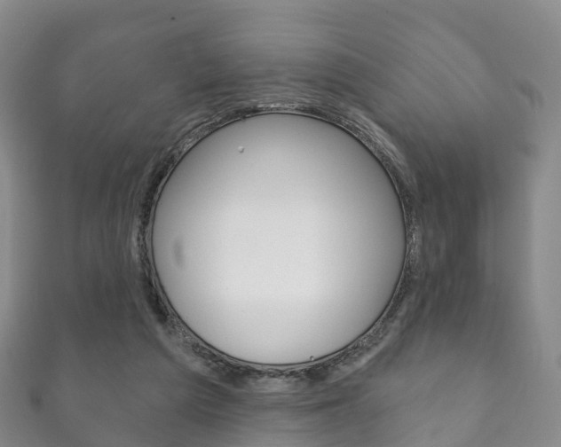 X0000111930209200907271037
