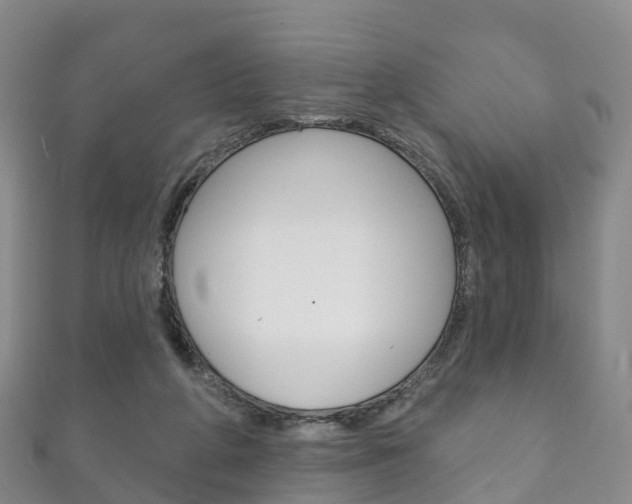 X0000111930210200907271037