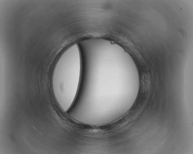X0000111930212200907271037