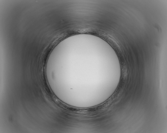 X0000111930214200907271037