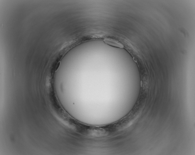 X0000111930215200907271037