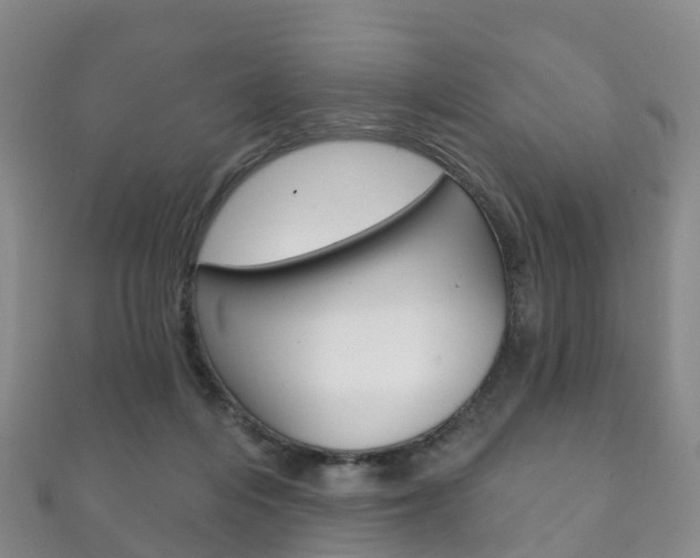 X0000111930216200907271037