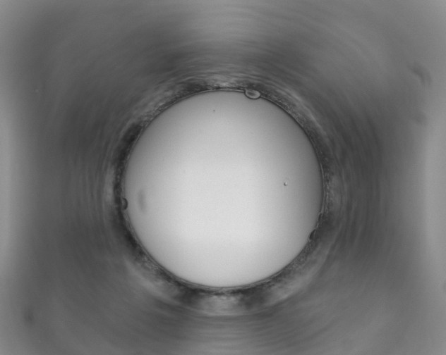 X0000111930217200907271037