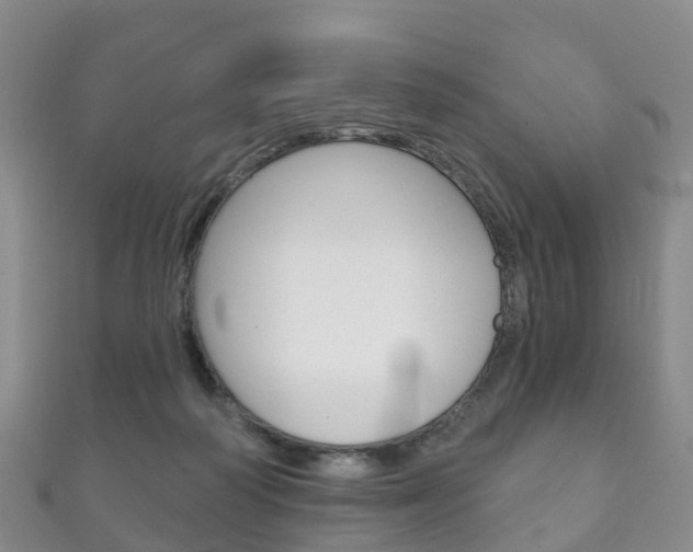 X0000111930218200907271037