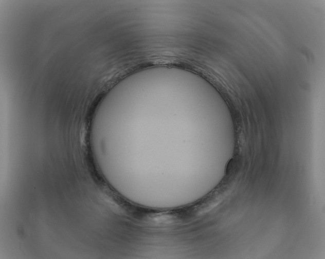 X0000111930219200907271037