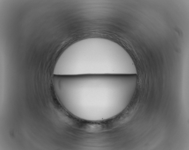 X0000111930220200907271037