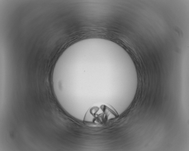 X0000111930221200907271037