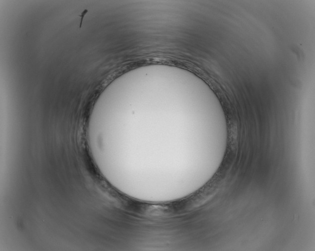 X0000111930222200907271037
