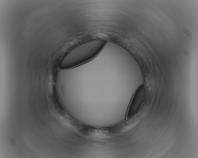 X0000111930223200907271037