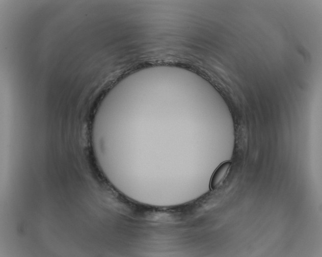 X0000111930224200907271037