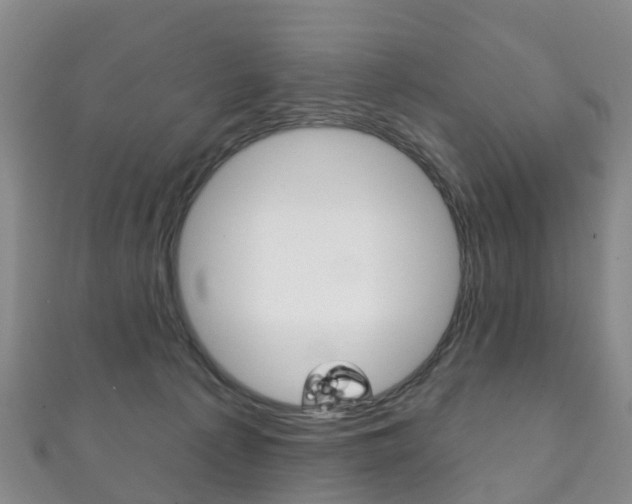 X0000111930225200907271037