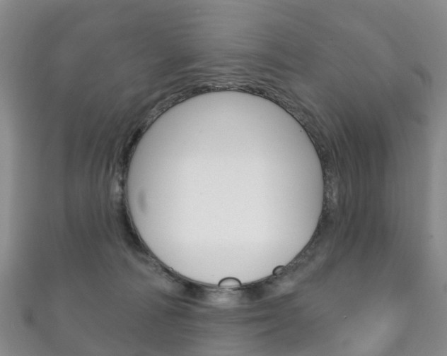 X0000111930226200907271037