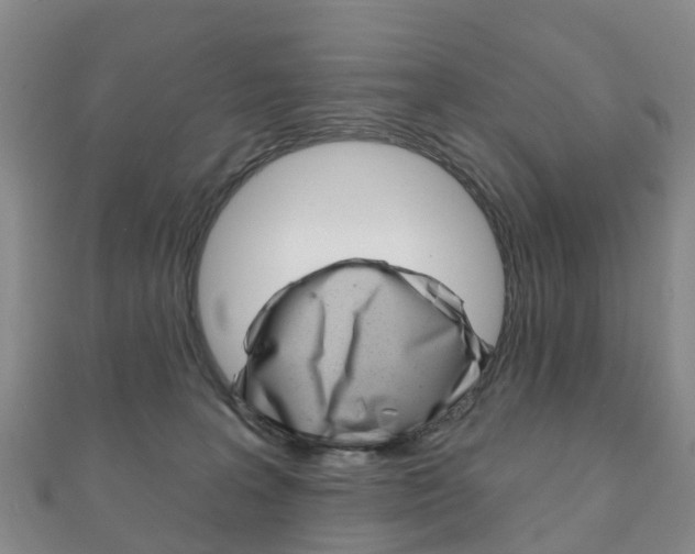 X0000111930227200907271037