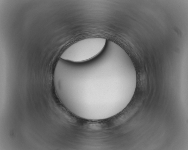X0000111930228200907271037