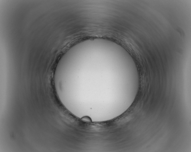 X0000111930229200907271037