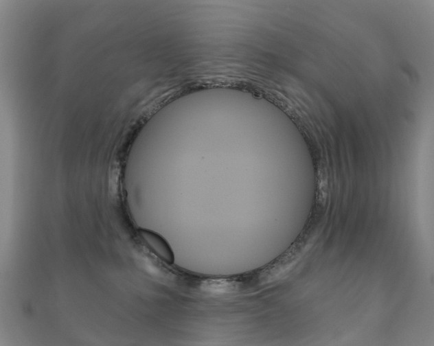 X0000111930231200907271037