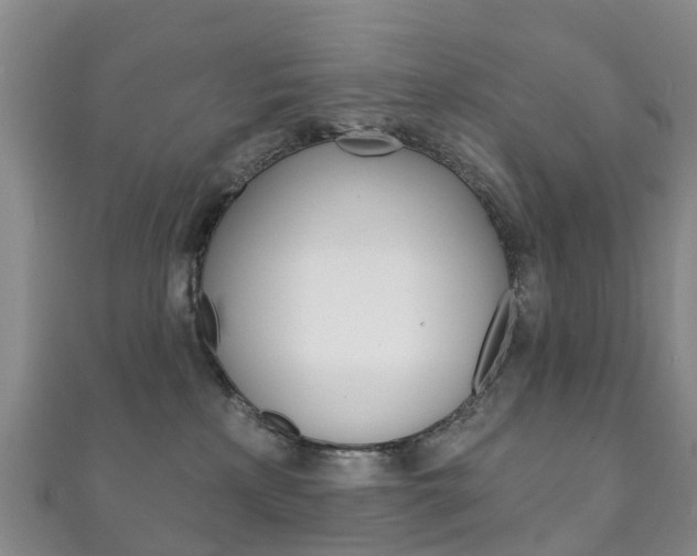 X0000111930233200907271037