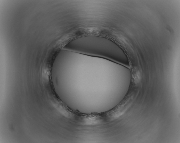 X0000111930235200907271037