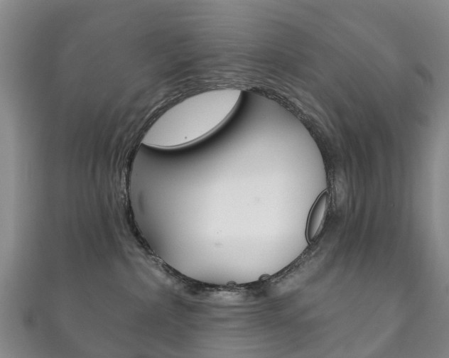 X0000111930236200907271037