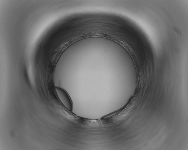 X0000111930239200907271037