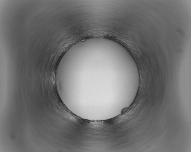 X0000111930240200907271037