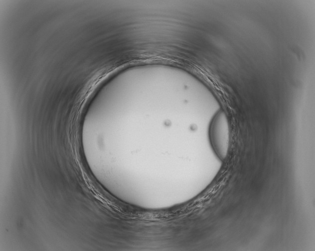 X0000111930241200907271036