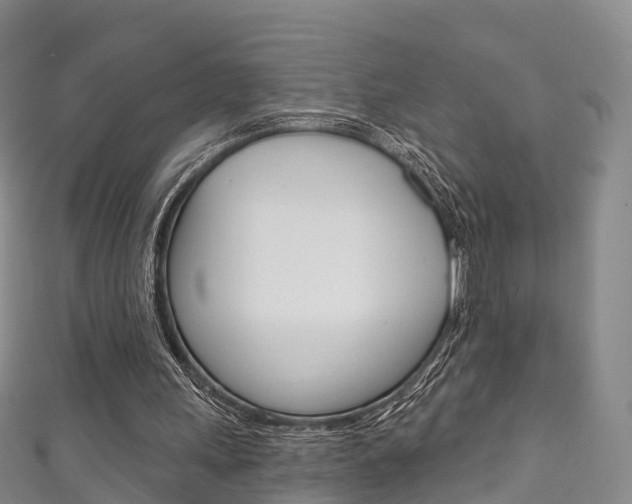 X0000111930243200907271036