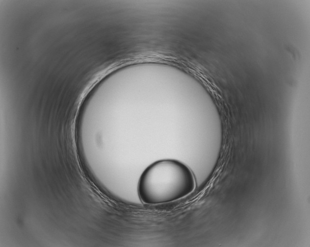 X0000111930244200907271036