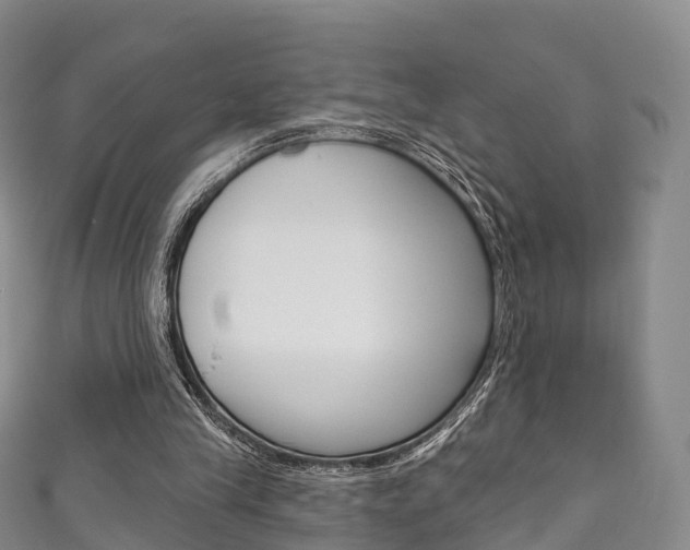 X0000111930245200907271036