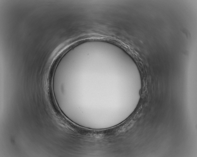 X0000111930247200907271036