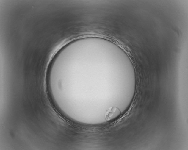 X0000111930248200907271036