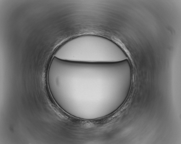 X0000111930249200907271036