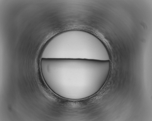 X0000111930250200907271036