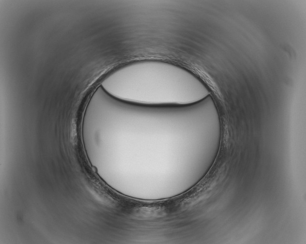 X0000111930251200907271036