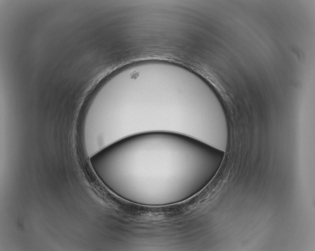 X0000111930252200907271037