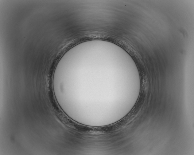 X0000111930255200907271037