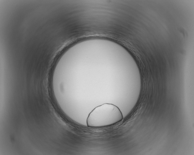 X0000111930256200907271037