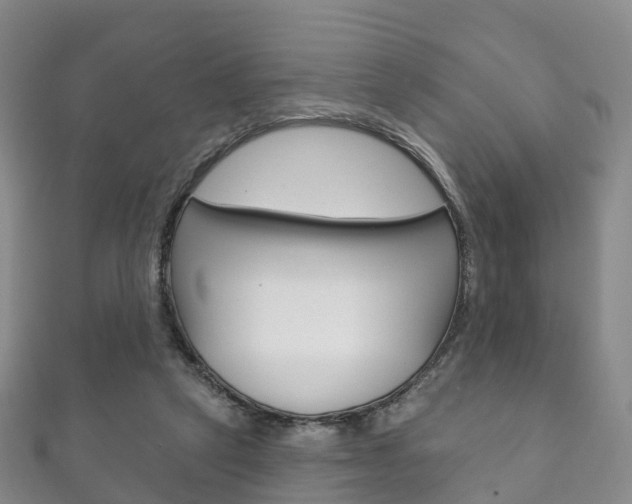 X0000111930257200907271037