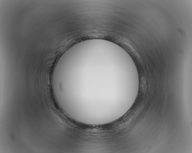 X0000111930259200907271037