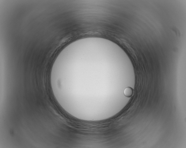 X0000111930260200907271037