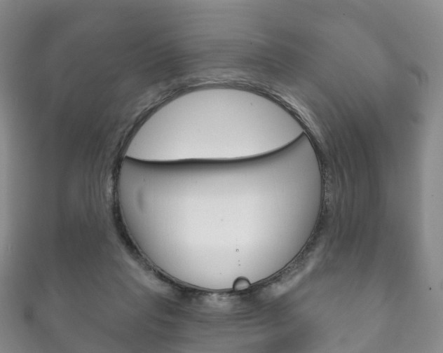 X0000111930261200907271037