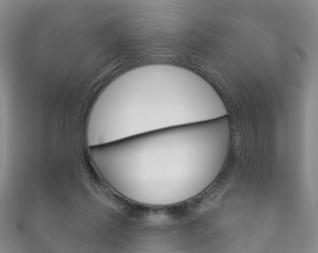 X0000111930262200907271037