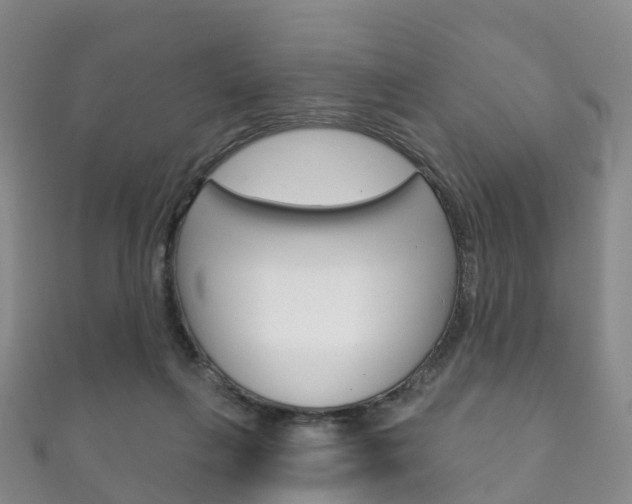 X0000111930263200907271037