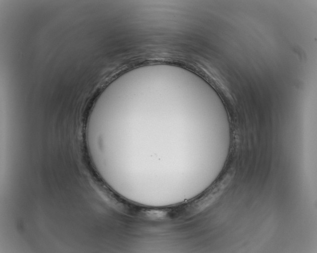 X0000111930265200907271037