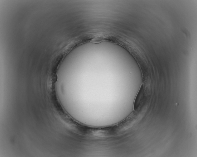 X0000111930268200907271037