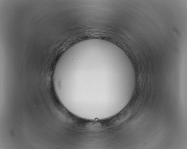 X0000111930271200907271037