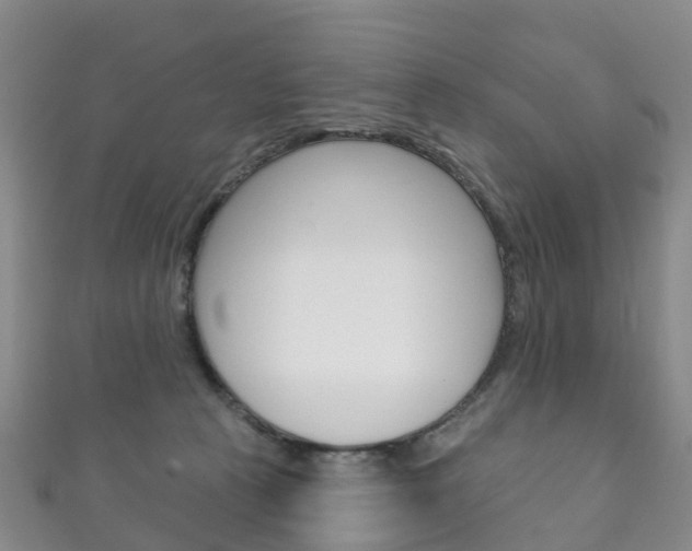 X0000111930273200907271037