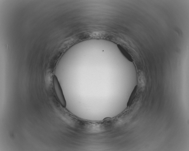 X0000111930276200907271037