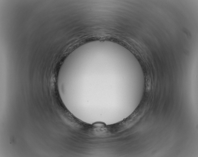 X0000111930279200907271037